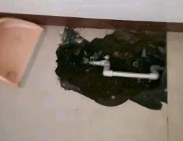 凤城卫生间测漏水多少钱